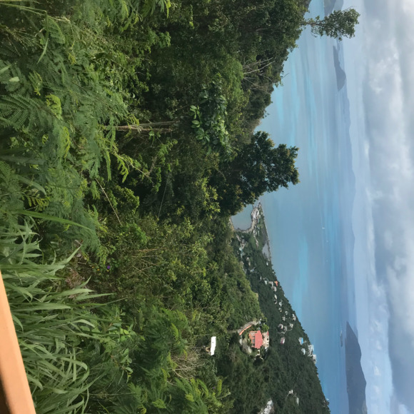 Meet your Posher, Lindsay - Picture 1 of 1